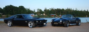 mustang69&cobra